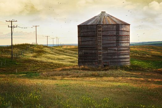 Abandoned wood grain storage bin on the prairies in Saskatchewan, Canada