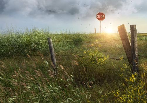 Old country fence on the prairies in Saskatchewan