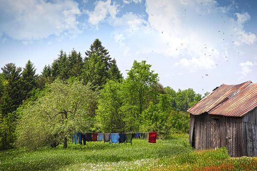 Laundry drying on clothesline on a beautiful summer day