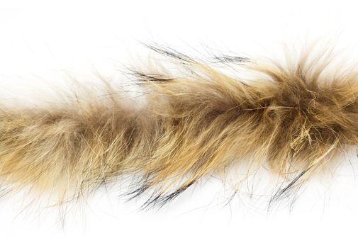 fur on white background