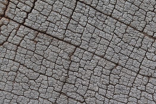 old cracked wood texture