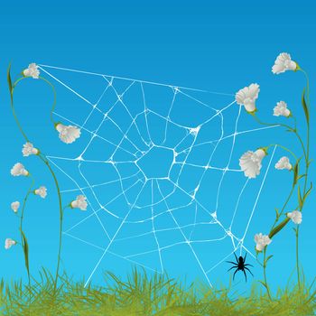 web spider among flowers, graphic art