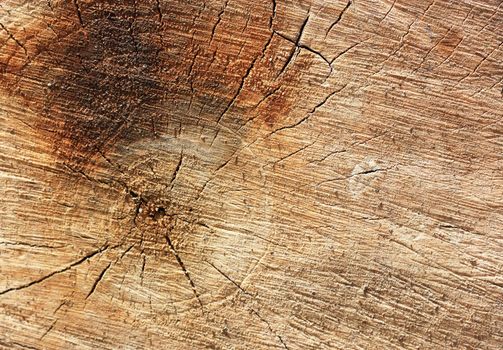 Wooden texture. It is possible to use as a background. 