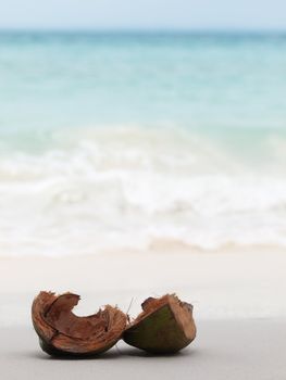 Open coconut shells on the shore of a white sand beach
