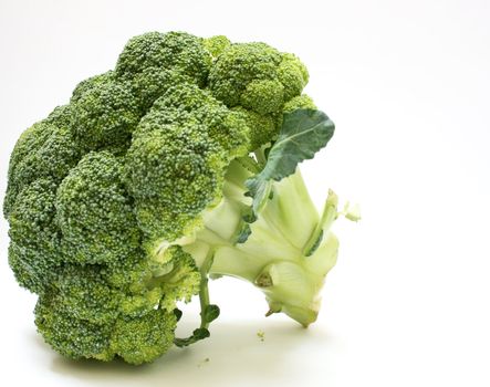 detail of a broccoli vegetable