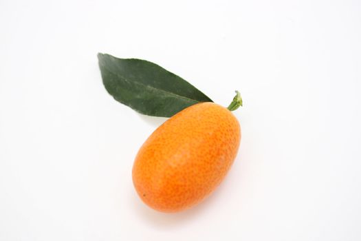 single kumquat isolated on a white background