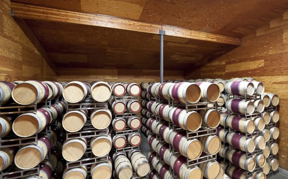 A large warehouse of wine barrels in a controlled cellar