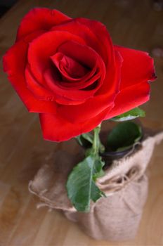 Close up on a beautiful bright red rose standing in a vase wrapped in brown fabric. The rose bloom is in focus, with the stem and vase defocused. Vertical orientation.