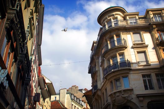 Image of buildings in Lausanne Switzerland with a Pigeon flying above.