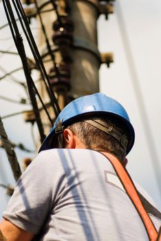 Unrecognisable bust of utility worker (from behind) with electrical cables in the background.