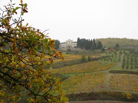 A view of the Tuscan Chianti countryside.