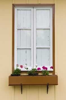 Front shot of a countryside-like window with flowerbed with three plant bowls