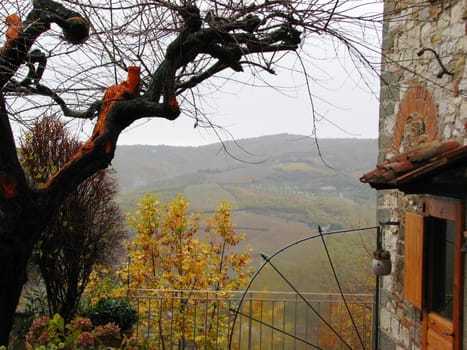 The Tuscan Chianti countryside through a tree.