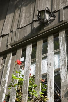 Low profile shot of a rustic wooden balcony with red rosebud as main subject and old fuel lamp in the background.