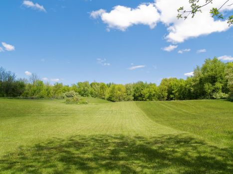 Sunny field, beautiful in midday sun. Grass is deep green, and well taken care of.