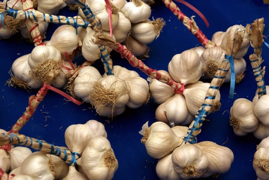 Bunch of Fresh Garlic on Blue background