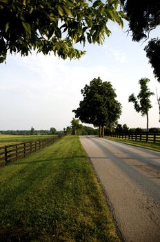 Kentucky Country Road