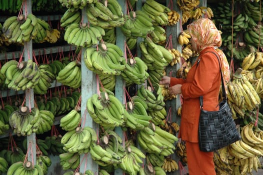 woman choosing for fresh banana that sold in traditional market