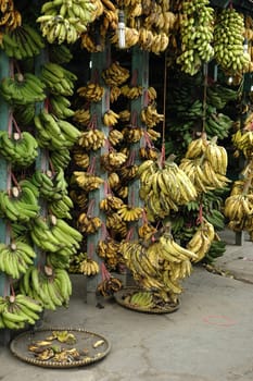 fresh banana that sold in traditional market
