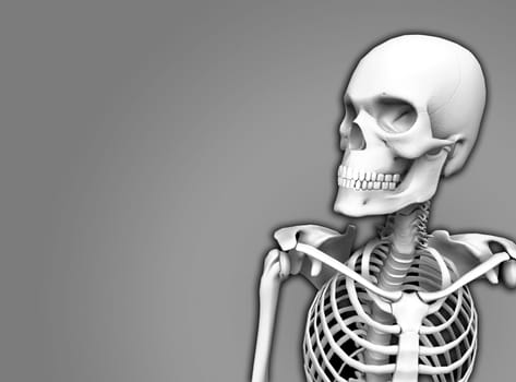 An image of a skeleton for Halloween or medical concepts.