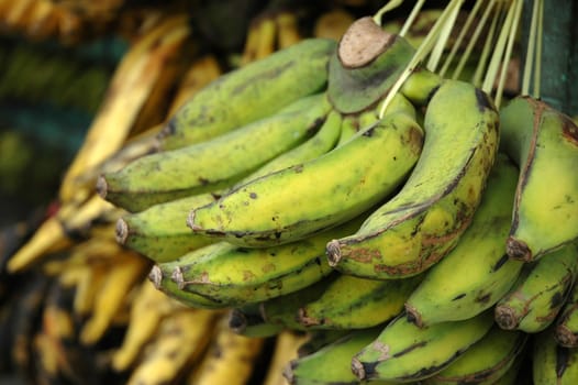 fresh banana that sold in traditional market