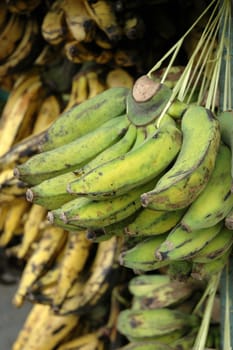 fresh banana that sold in traditional market