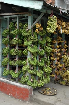 fresh banana that sold in traditional market