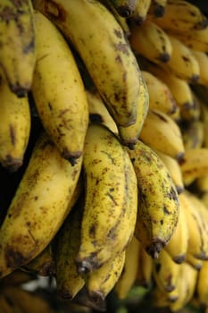 fresh banana that sold in traditional market