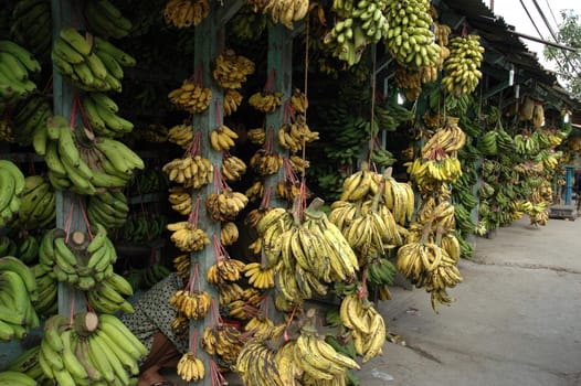 fresh banana that sold in traditional market
