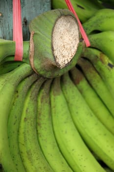 fresh banana that sold in traditional market