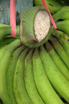 fresh banana that sold in traditional market