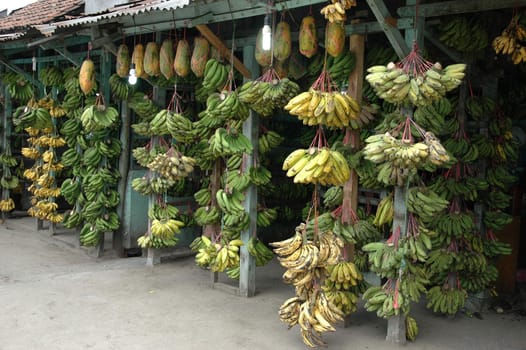 fresh banana that sold in traditional market
