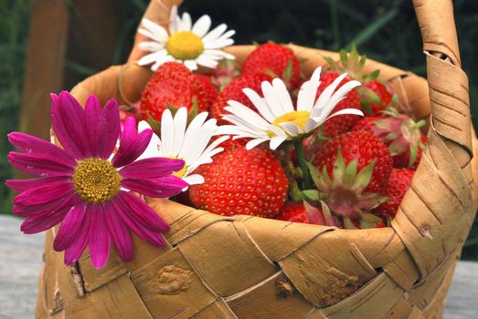 the birch bark basket with red strawberries