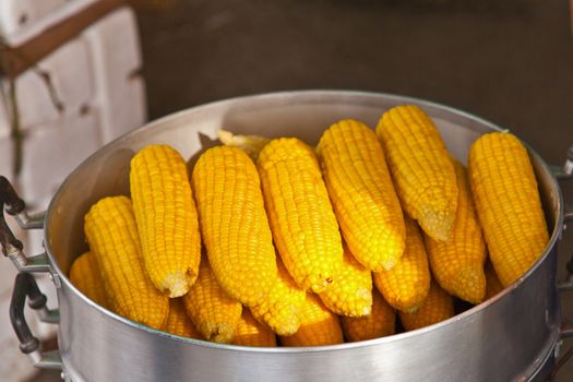 fruit, corn in boiler