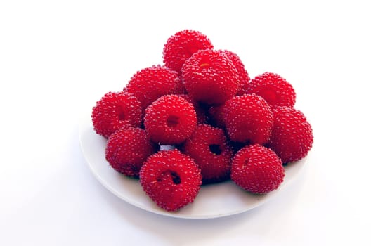 Red specific raspberries put in a white dish on a white background.