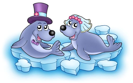 Wedding image with cute seals - color illustration.