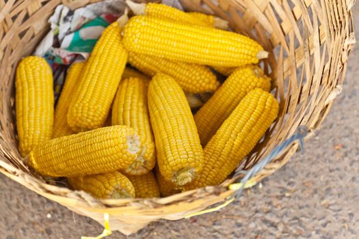 fruit, raw corn in wicker basket