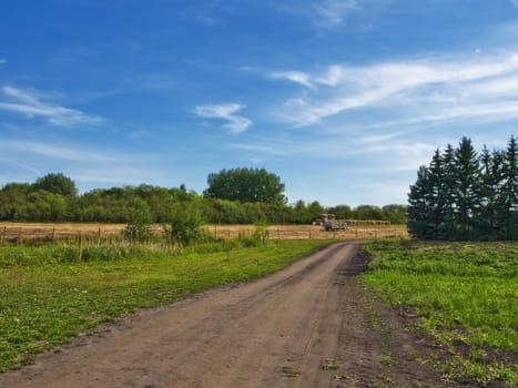 A country road through a prairie farm yard late in the summer season.