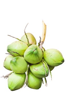 Fruit; Green Coconut isolated on white background