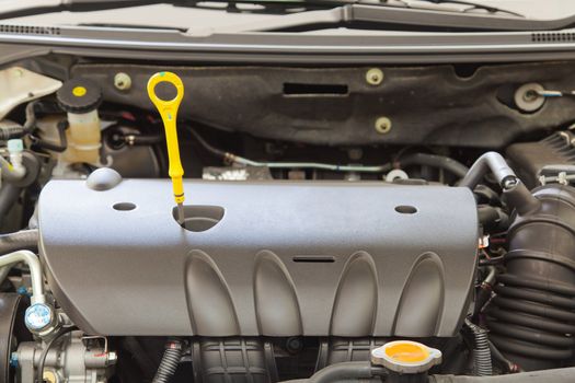 Fluid checker, component of car engine