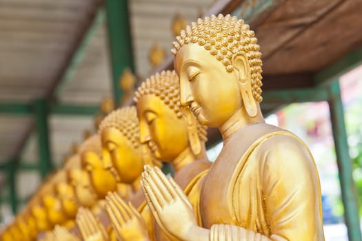 Golden Buddha statue in Thaland temple