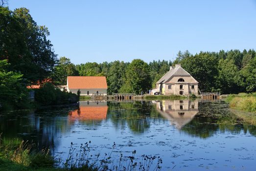 Landscape with houses and a  forest on coast of a pond