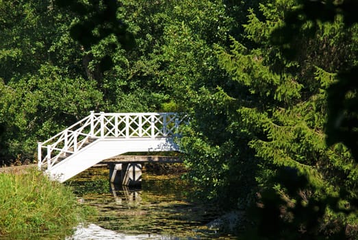 The white bridge on a background of a green grass and trees