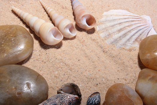 Sea sand and stones with cockleshells ashore.