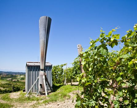 Hail cannon in Italian vineyard, Monferrato and Langhe area, Piemonte region.