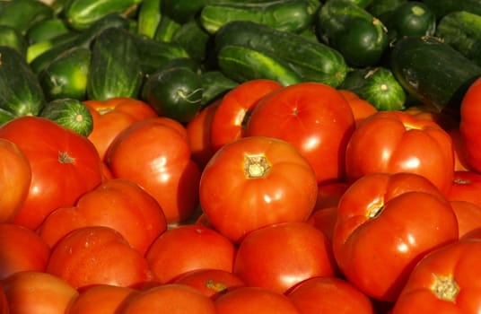 Fresh tomatoes and cucumbers for sale at the market