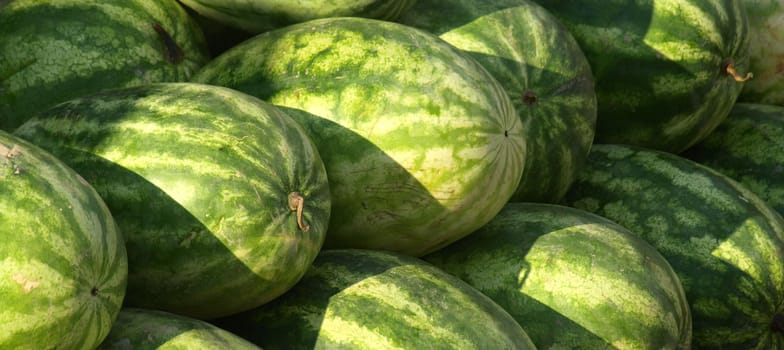 Watermelon for sale at the market during the summer