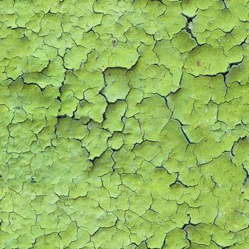 Seamless grunge green texture with cracks and stains