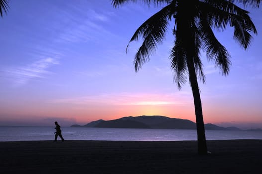 Landscape of palm tree and island silhouette on beach at sunrise