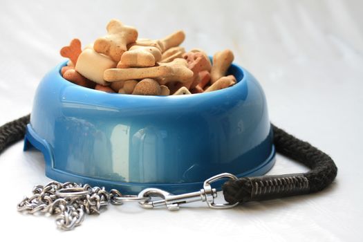 Blue dogbowl filled with cookies and a dog leash